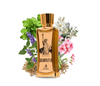 Cosmopolitan New York by Emir EDP 85ml